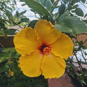 Meet your Posher, Alysse